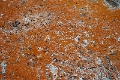 Bay of Fire